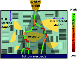 c-afm Publication