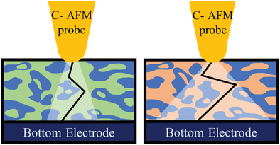 c-afm Publication