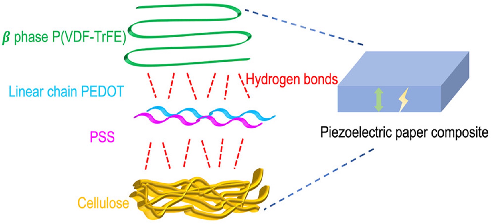 PEDOT:PSS piezoelectric paper composite publication